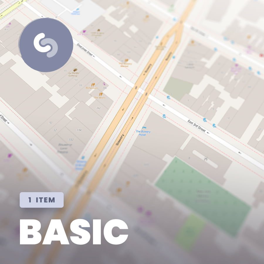 - Basic Subscription